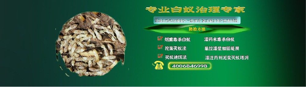 惠州白蟻防治,惠州白蟻防治中心